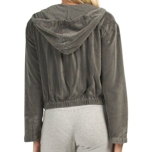 YOUNG FABULOUS & BROKE Velour Fritzy Hoodie Gray Women Size S - Picture 3 of 10
